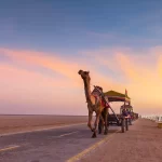 Top 5 Must Visit Places in Kutch, India