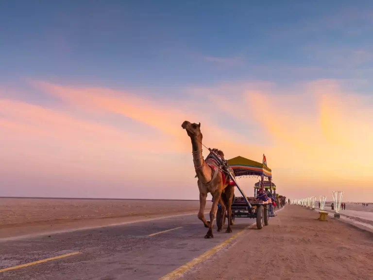 Top 5 Must Visit Places in Kutch, India